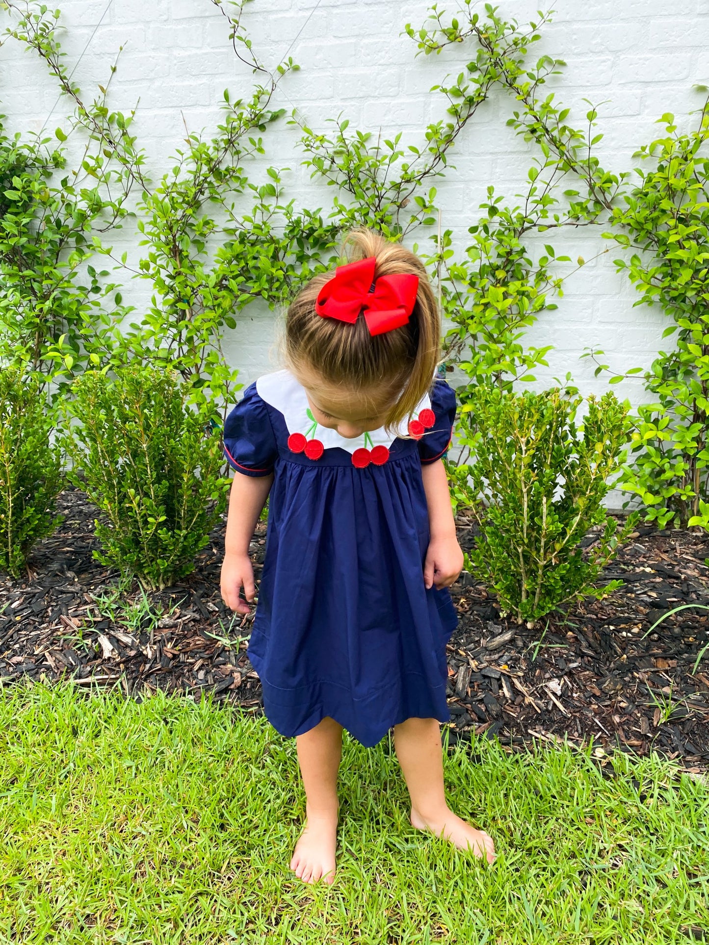 Cherry Scallop Collar Hem Dress